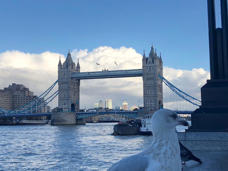 Pluie londres météo été température vacances