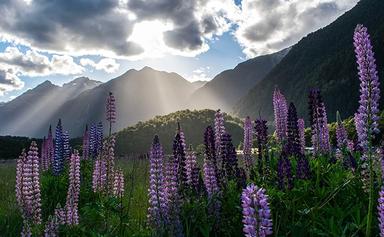 climat et saisons NZ