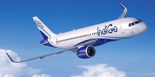 indigo avion