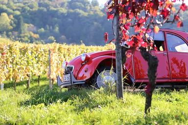 Cuvée Privée acheter vignes en France vins français londres cadeau parfait