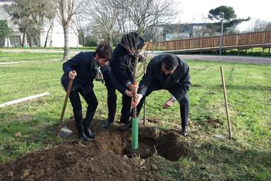 Célébration de l´amitié franco-allemande et Lisbonne, capitale verte
