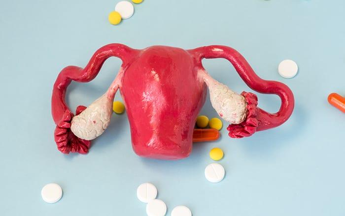 uterus-and-drug