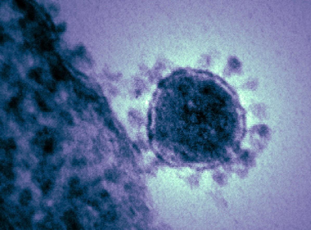 coronavirus Wuhan Hong Kong Philippines