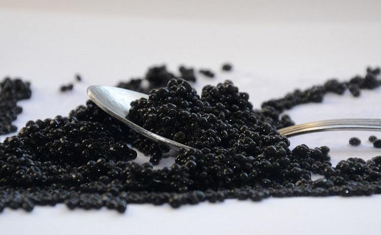 Caviar pixabay