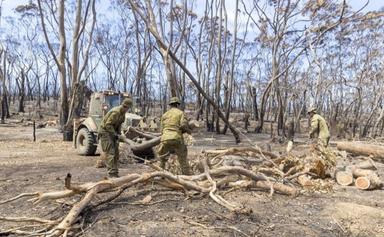 Incendies Australie Acalmie