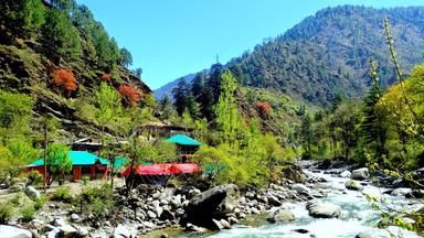 tirthan vallay india inde trek famille