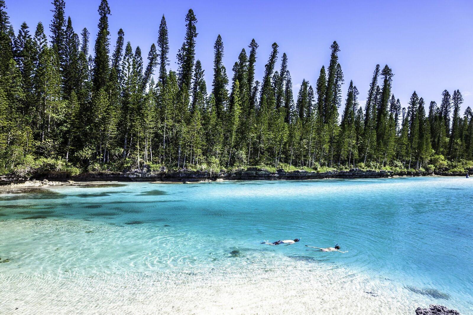 travel new caledonia kiwis