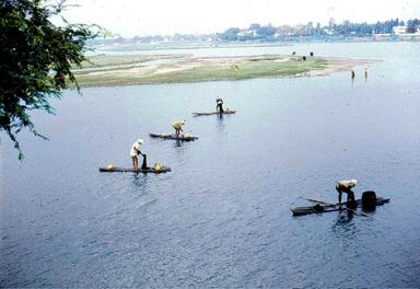 adyar river_0