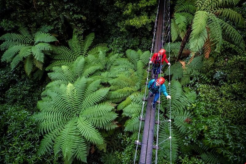 excursion tyrolienne forêt Rotorua