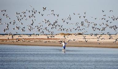 djerba7