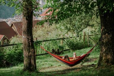 pensions-auberges-cabanes-hotels-transylvanie-roumanie-nature