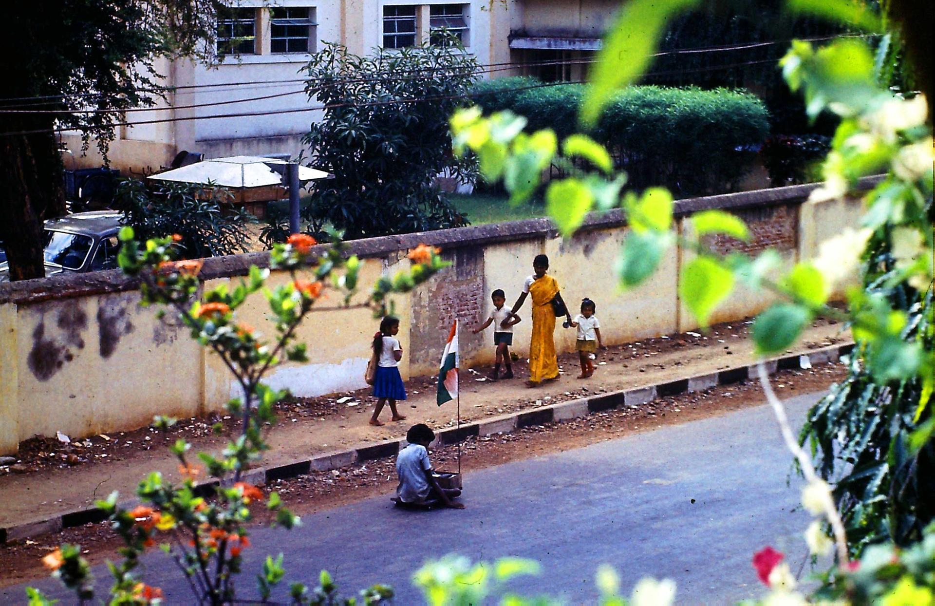 3 vu de ma fenêtre à l'heure de l'école