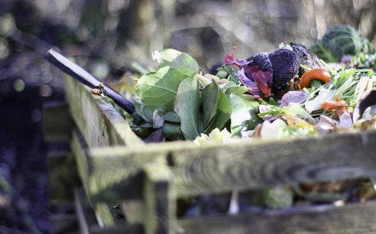 compost urbain Lima