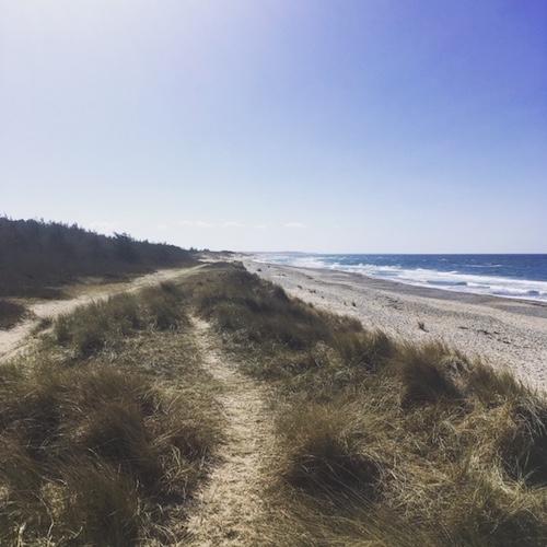 plages Danemark Sjaelland Copenhague 