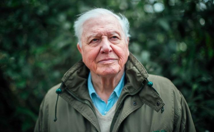 David Attenborough nouveau film