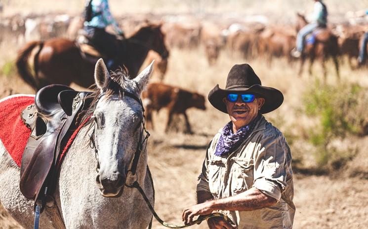 Cow Boy Kimberley 