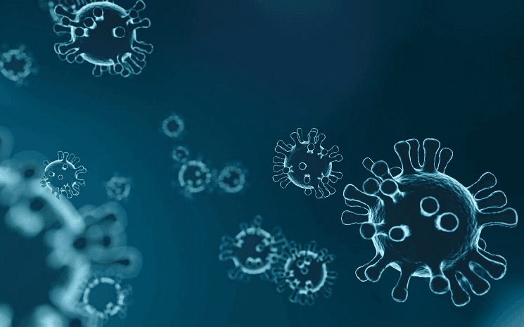 morts covid-19 coronavirus france pérou