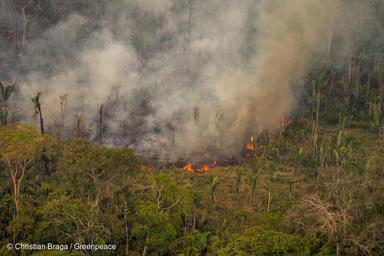 Amazonie Incendies 