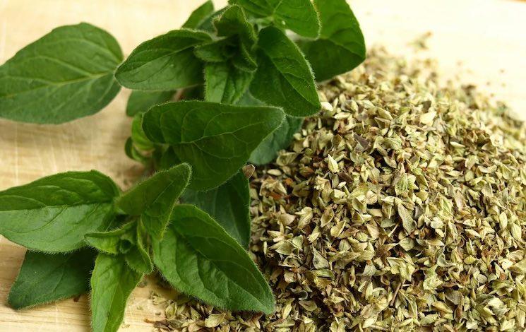 nutrionniste hong kong