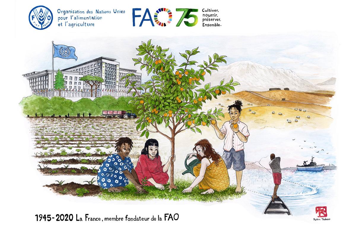 FAO 75 ans Rome