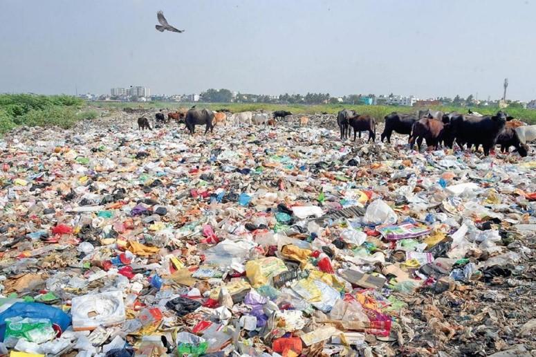 déchets chennai india inde collecte