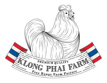 Logo-Klong-Phai