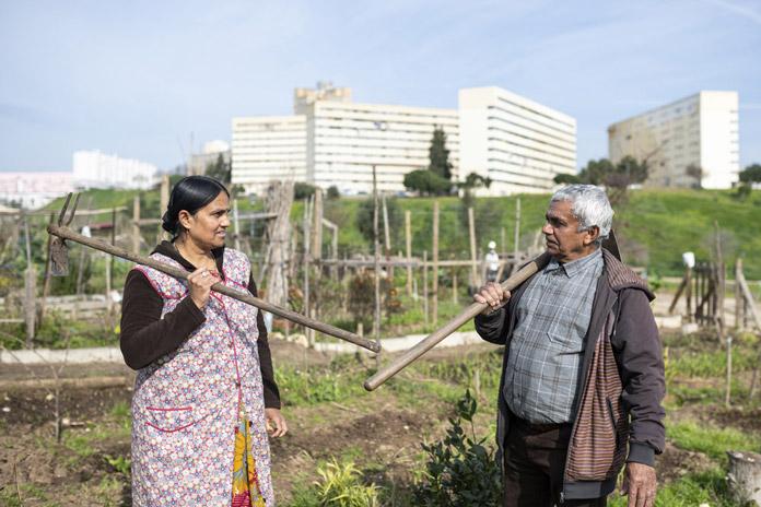 Potager Lisbonne, Musée de Lisbonne