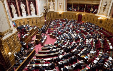 senat groupe étude expatrié