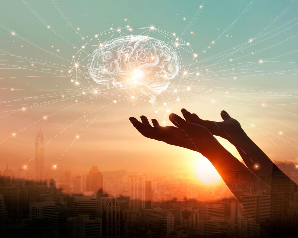 cerveau addiction plaisir 