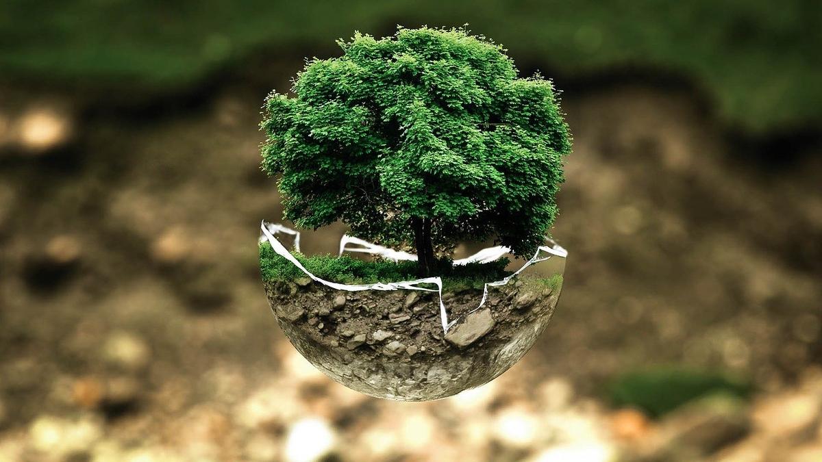 voyage écologie plante 
