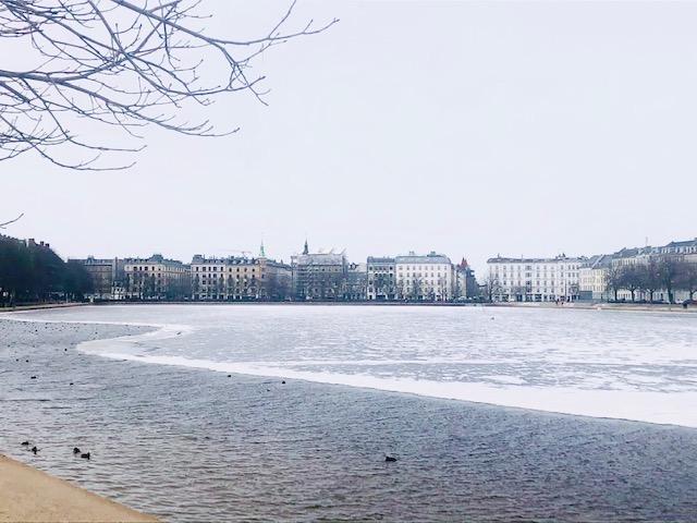 quartier Copenhague Østerbro bonnes adresses 