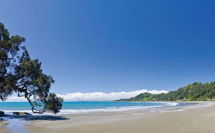 ohope beach best new zealand beach