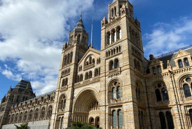 natural history museum londres 