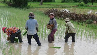 Cambodgiennes