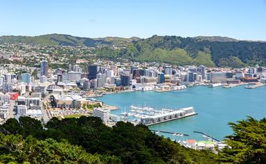 découvrir wellington incontournables