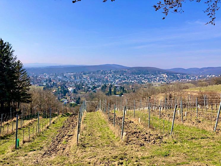 Sentier de randonnée de la ville de Vienne