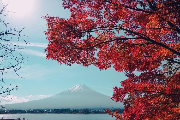 marche lac biwa au fuji