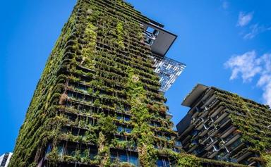 sydney environnement écologie ville verte