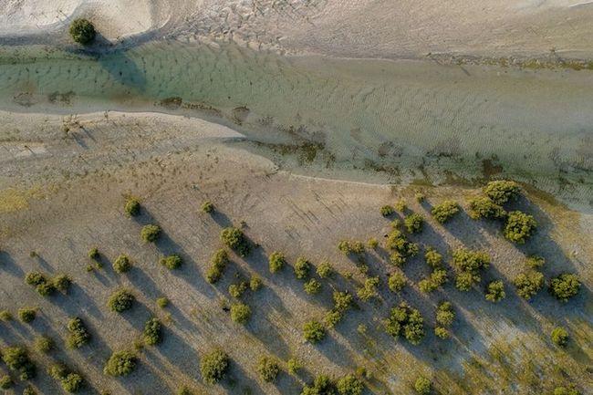 forêt de mangroves Dubaï 