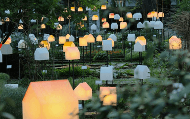 Des maisons design lumineuses dans un jardin