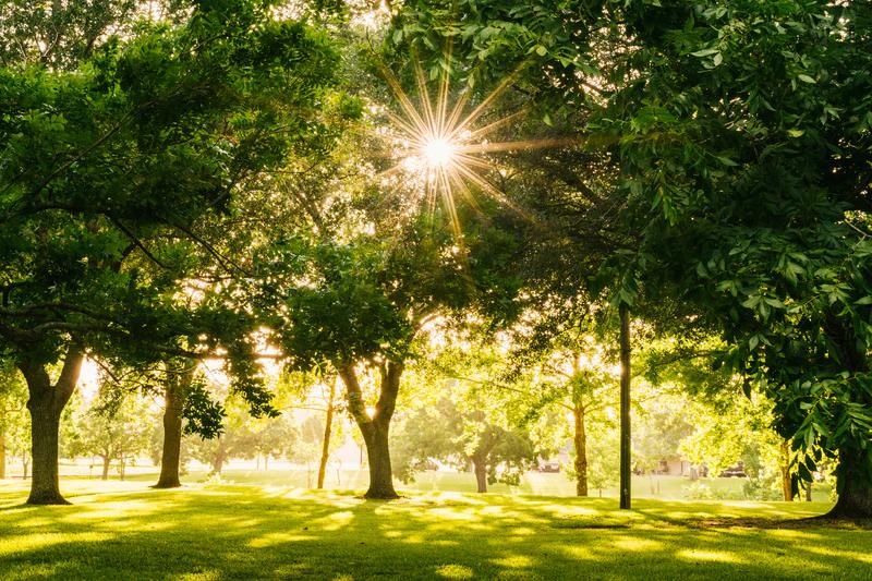 Parc au Royaume-Uni