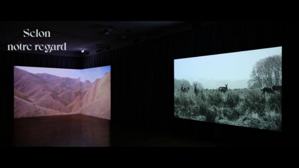 Images de la nature extraites de vidéos présentées dans l'exposition