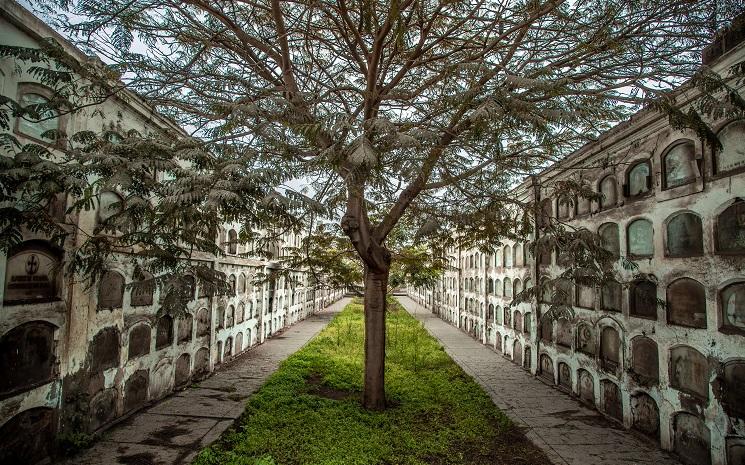 Le cimetière « Presbítero Maestro » de Lima, un lieu chargé d’histoire