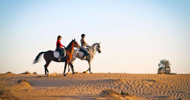 equitation dubai 