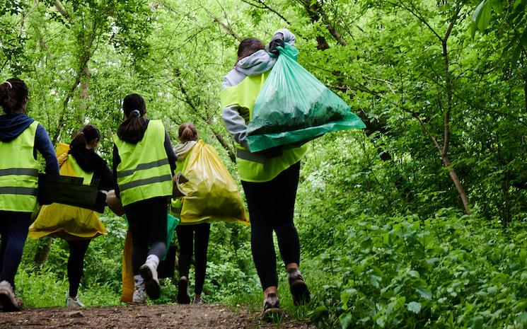 Des personnes ramassent les déchets dans une forêt 