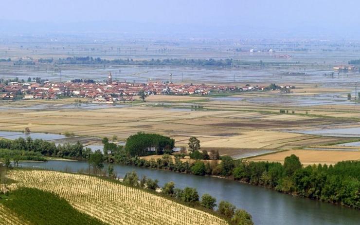 des champs et marais de rizière avec un fleuve