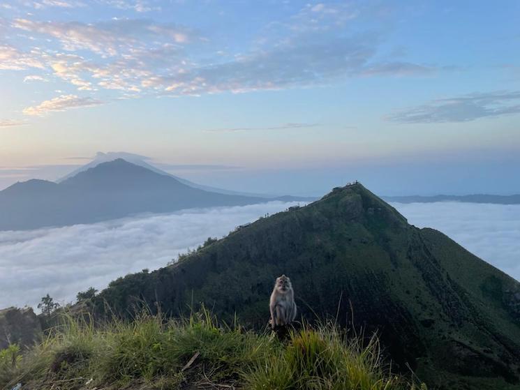 Vue au sommet du Mont Batur