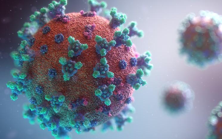 Une représentation du variant delta du coronavirus