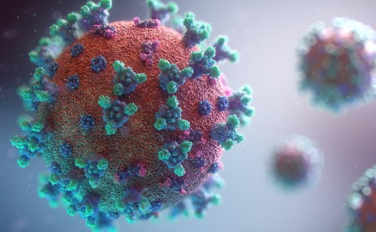 visualisation d'un coronavirus