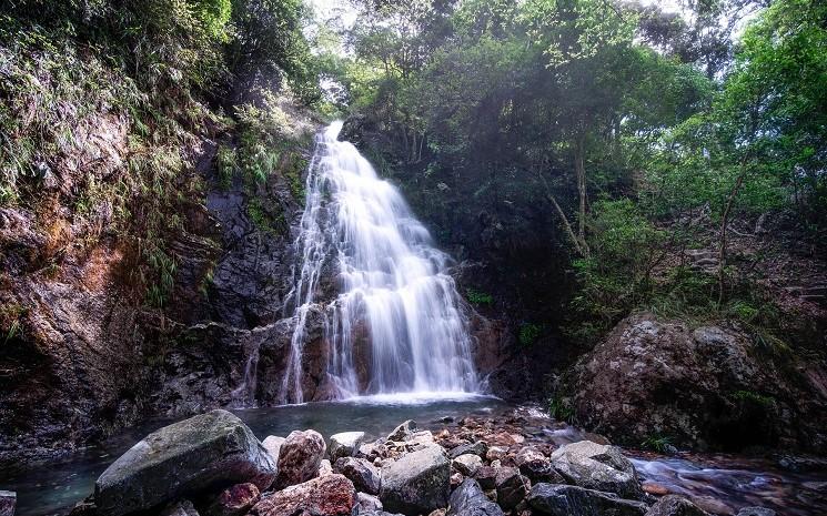 cascades nature hong kong